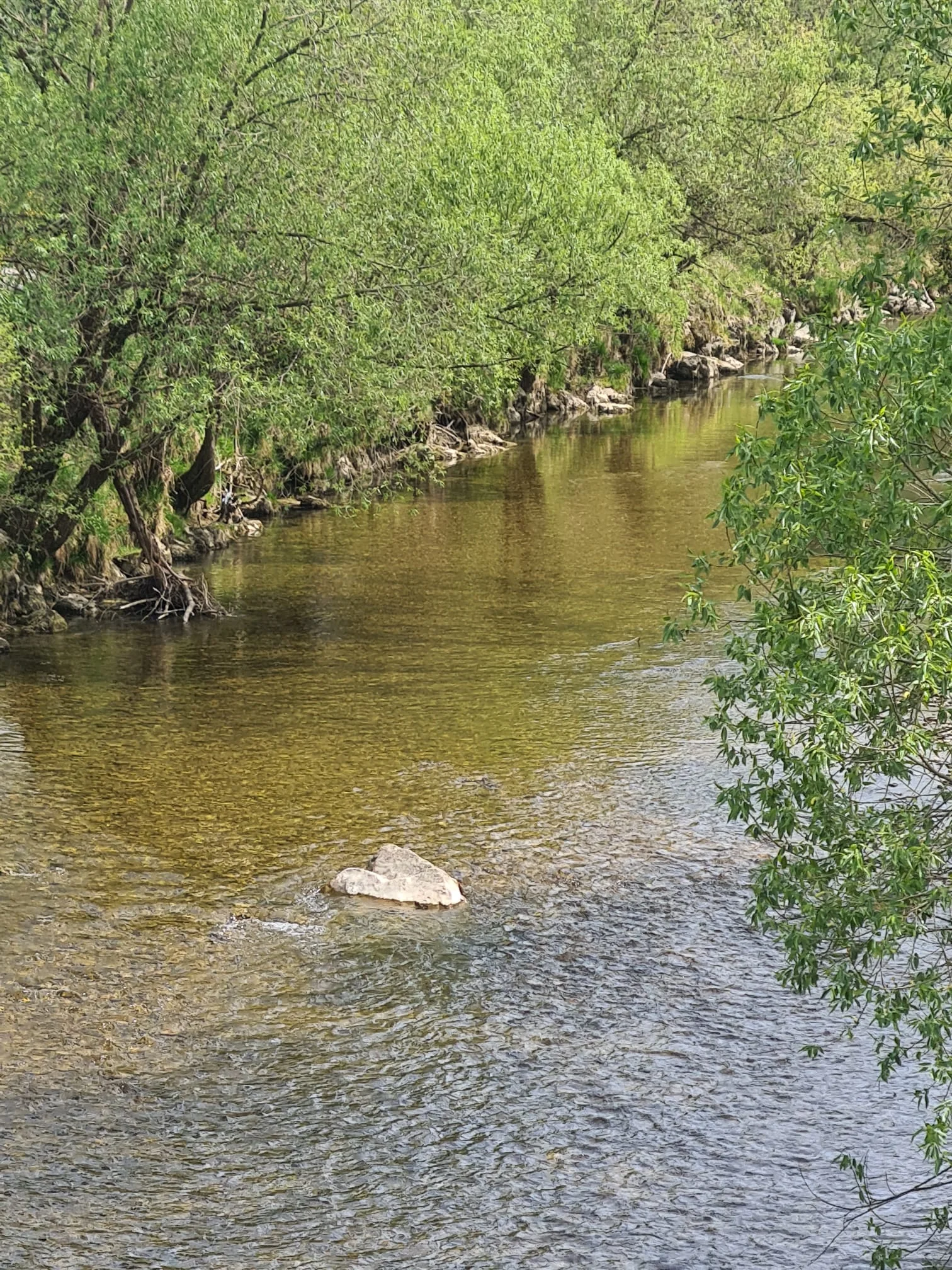 Ein Stein unter Wasser – Tatjanas Inspiration
